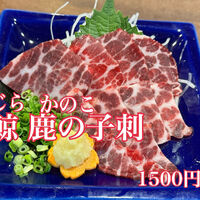 画像3859