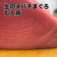 画像3886