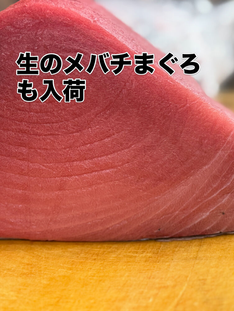 画像3886