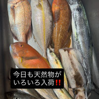 画像3896