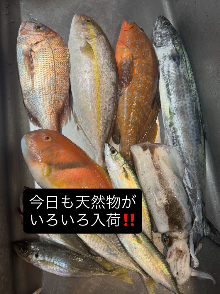 画像3896